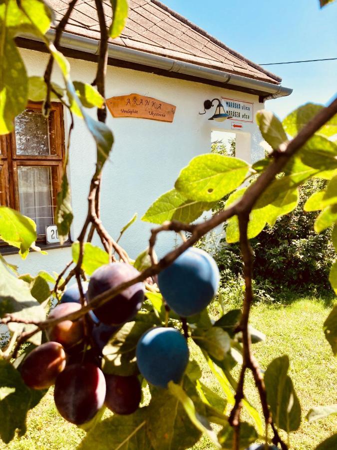 Ubytovanie U Aranky Cierna nad Tisou Экстерьер фото